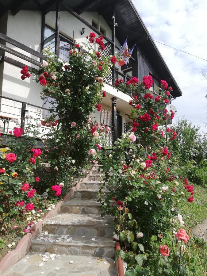 Casuta Cu Trandafiri Ξενοδοχείο Slănic Εξωτερικό φωτογραφία