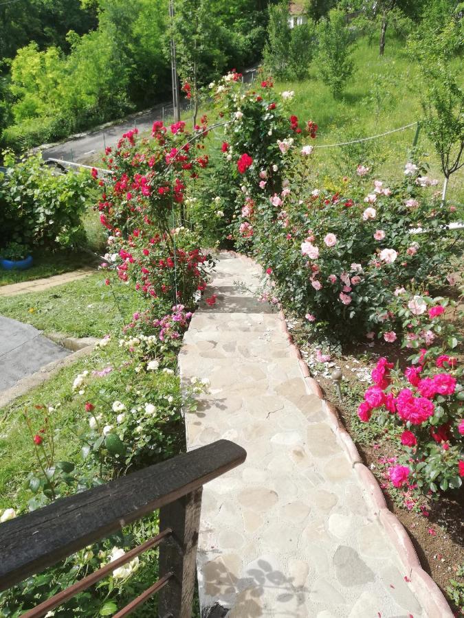 Casuta Cu Trandafiri Ξενοδοχείο Slănic Εξωτερικό φωτογραφία