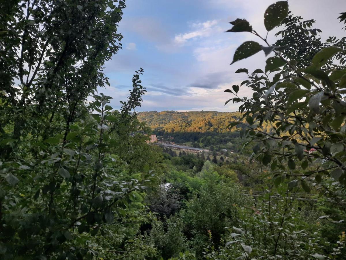 Casuta Cu Trandafiri Ξενοδοχείο Slănic Εξωτερικό φωτογραφία