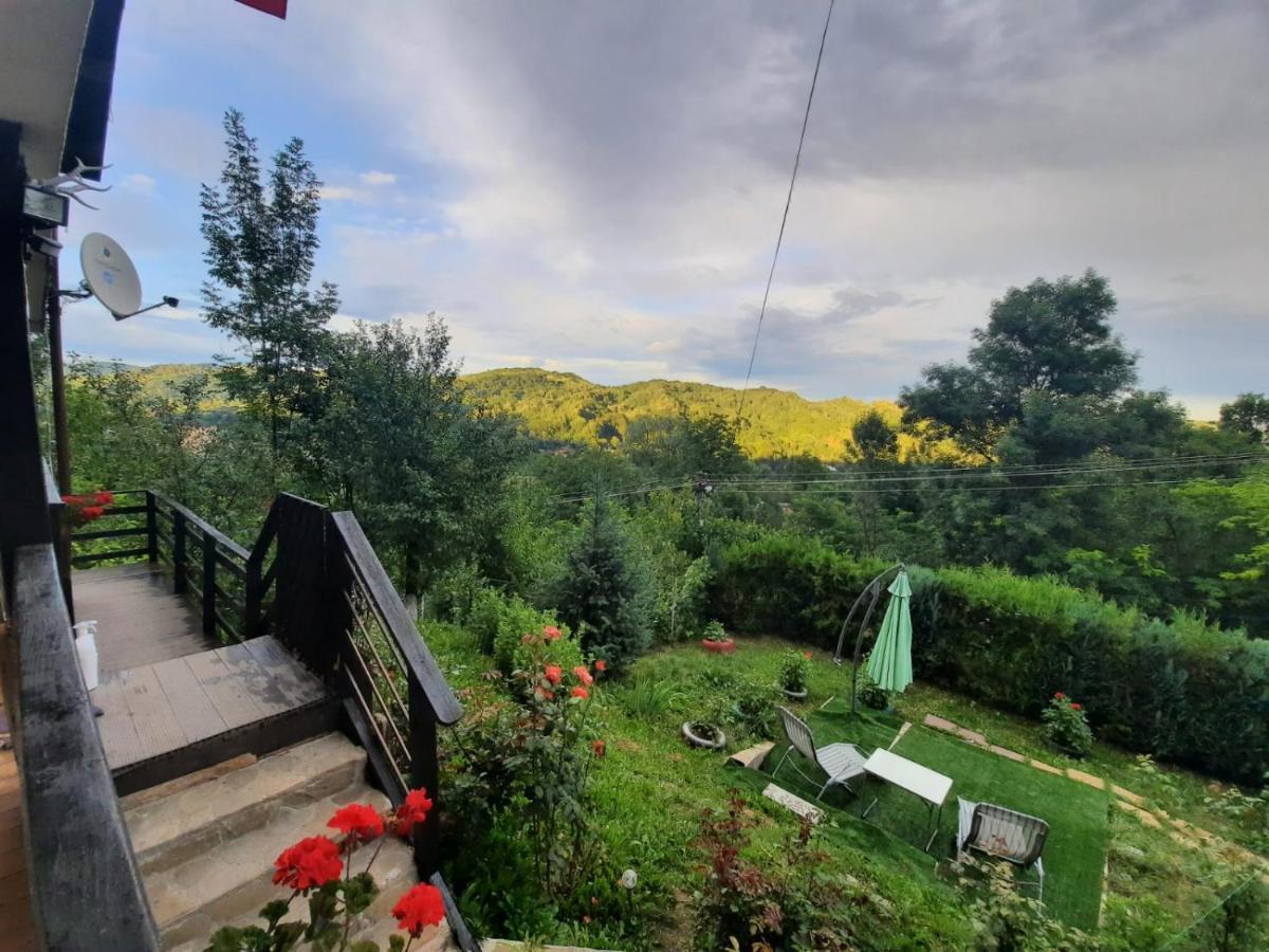 Casuta Cu Trandafiri Ξενοδοχείο Slănic Εξωτερικό φωτογραφία